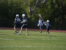 Enlarge photo 162