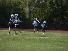 Enlarge photo 165