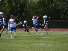 Enlarge photo 174