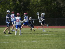 Enlarge photo 177