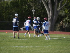Enlarge photo 186