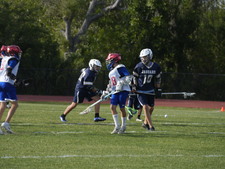 Enlarge photo 204