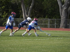 Enlarge photo 216