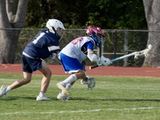 Enlarge photo 218