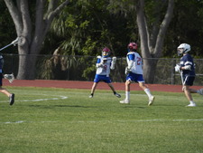 Enlarge photo 241
