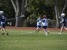 Enlarge photo 242
