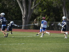 Enlarge photo 244