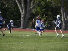 Enlarge photo 245
