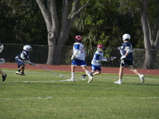 Enlarge photo 246