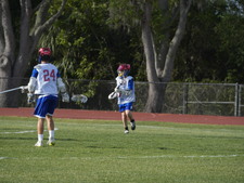 Enlarge photo 249