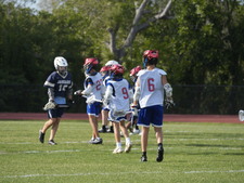 Enlarge photo 428