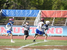 Enlarge photo 442