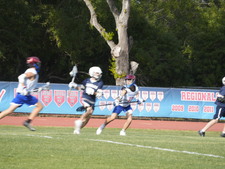 Enlarge photo 447