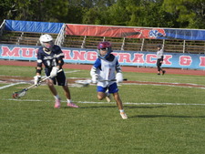 Enlarge photo 484