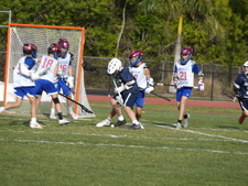 Enlarge photo 523