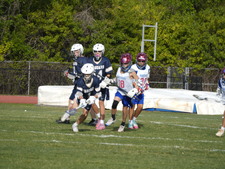 Enlarge photo 535