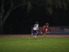 Enlarge photo 157