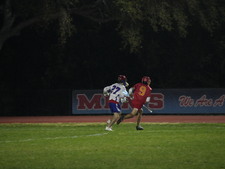 Enlarge photo 159
