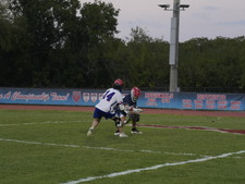 Enlarge photo 249