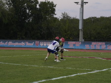 Enlarge photo 251