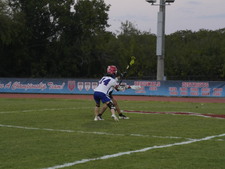 Enlarge photo 252