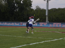 Enlarge photo 255