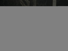 Enlarge photo 726