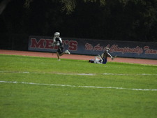 Enlarge photo 333