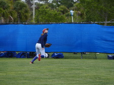 Enlarge photo 528