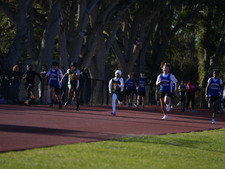 Enlarge photo 67