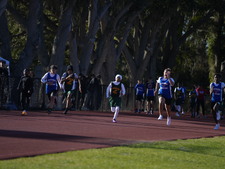 Enlarge photo 71