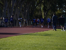 Enlarge photo 94