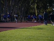 Enlarge photo 96