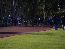 Enlarge photo 97