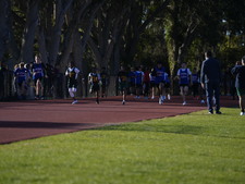 Enlarge photo 98