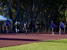 Enlarge photo 100