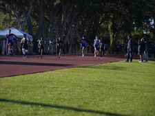 Enlarge photo 105