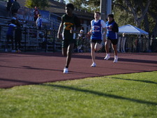 Enlarge photo 121