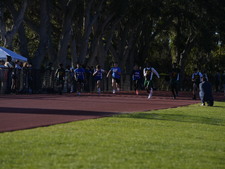 Enlarge photo 127