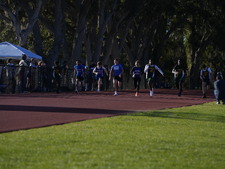 Enlarge photo 132