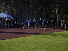 Enlarge photo 133