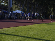 Enlarge photo 136