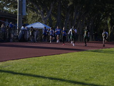 Enlarge photo 138