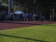 Enlarge photo 139