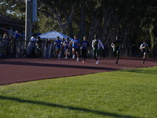 Enlarge photo 140