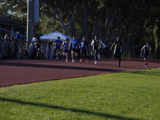 Enlarge photo 141