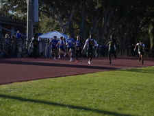 Enlarge photo 142