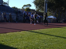 Enlarge photo 146