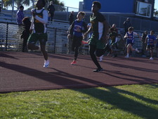 Enlarge photo 155