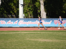 Enlarge photo 176